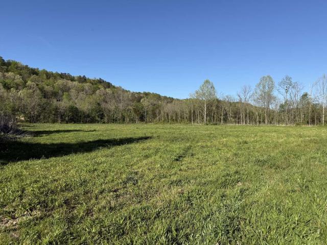 Land for sale in Liberty, Kentucky