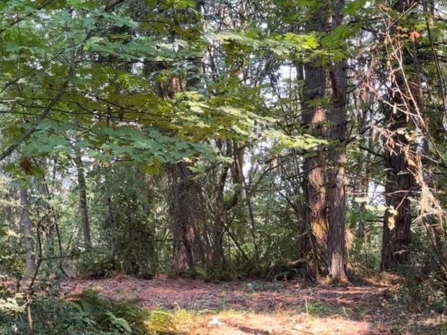 Land for sale in Poulsbo, Kitsap County