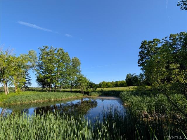 House for sale in Cowlesville, New York