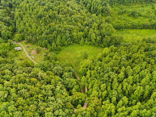 House for sale in Wolfe, Kentucky