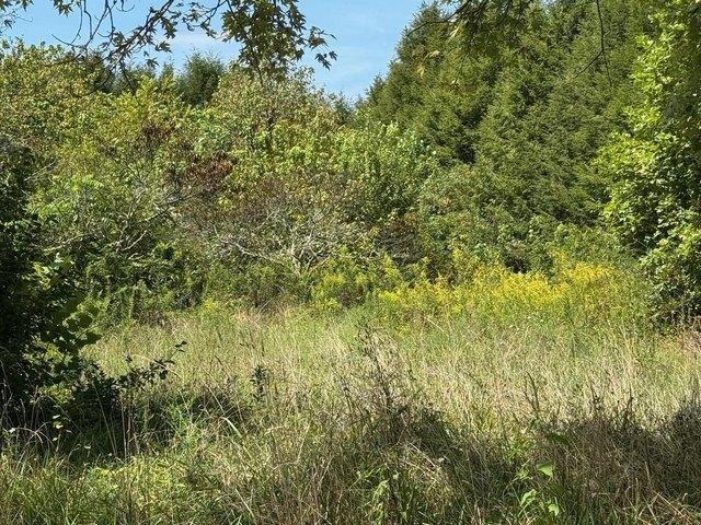 Land for sale in Tennessee
