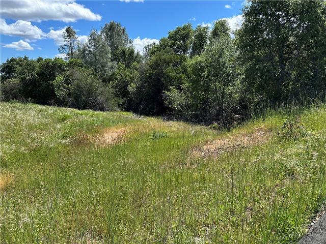 Land for sale in Lake, California