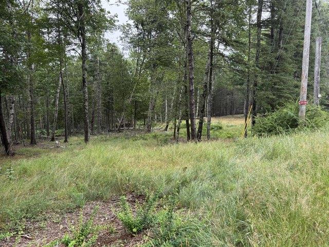 Land for sale in Waldo, Maine