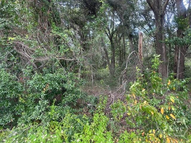 Land for sale in Beaufort County, South Carolina