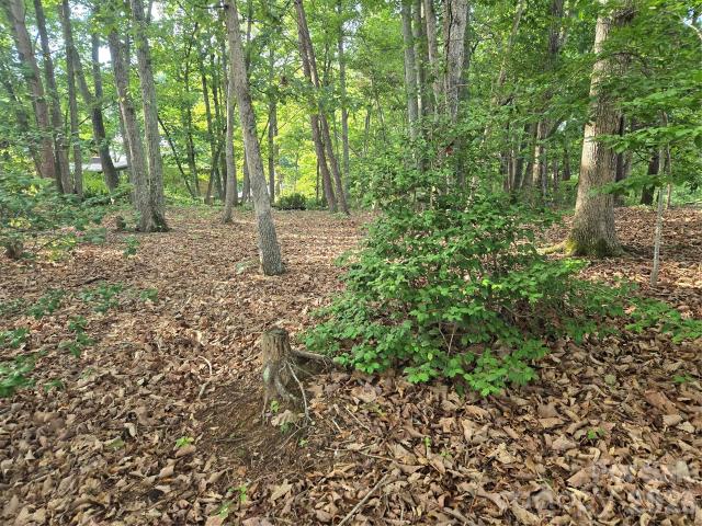 Land for sale in Hudson, North Carolina