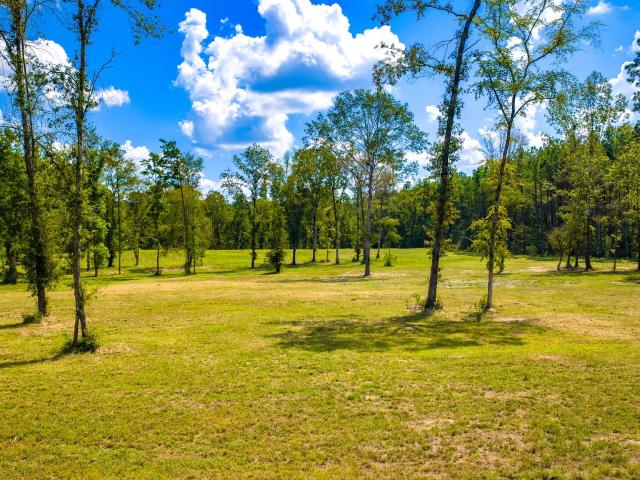 Land for sale in Josserand, Groveton