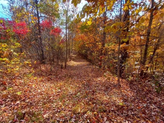 Land for sale in Powell, Kentucky