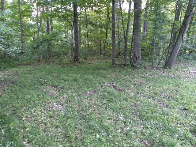 Land for sale in Powell, Kentucky