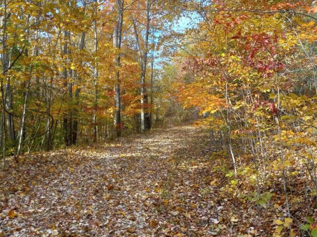 Land for sale in Powell, Kentucky