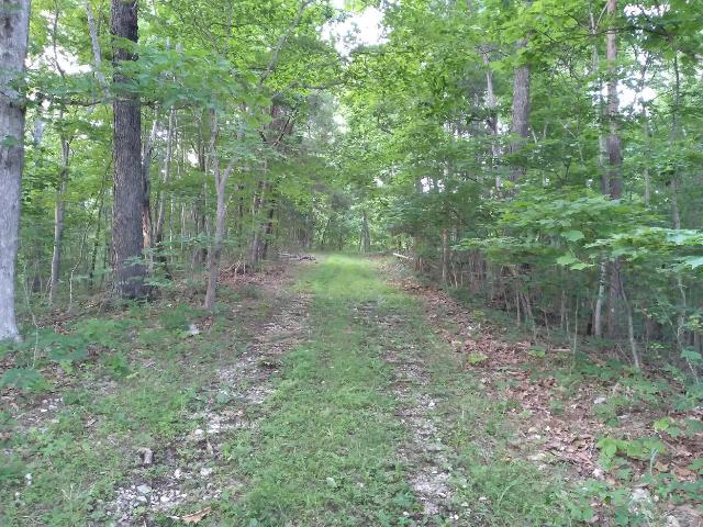 Land for sale in Powell, Kentucky