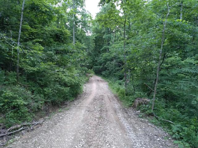 Land for sale in Powell, Kentucky