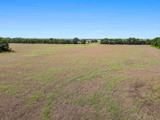 Land for sale in Blue Ridge, Texas