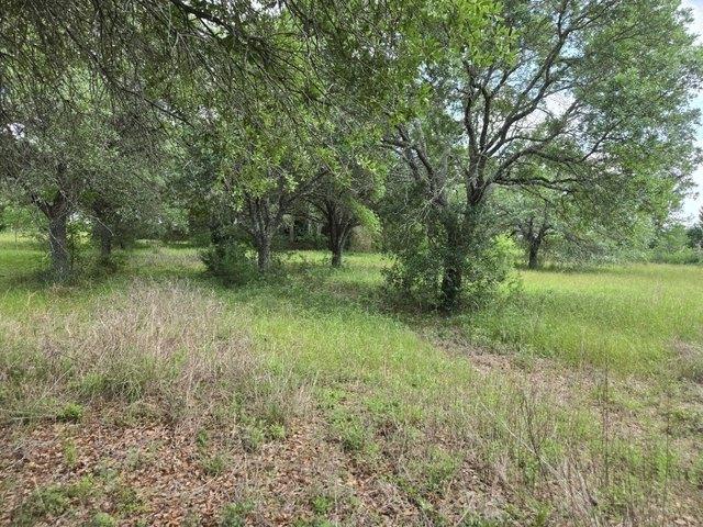 Farm for sale in Wallis, Texas