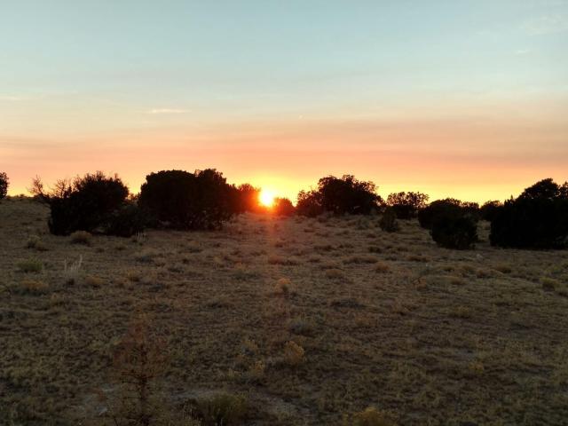 Land for sale in Williams, Arizona