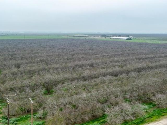 Farm for sale in Tulare, California
