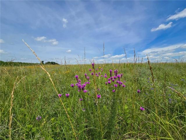 Farm for sale in Kansas
