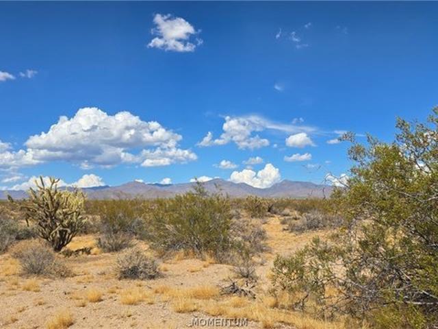 Land for sale in Yucca, Arizona