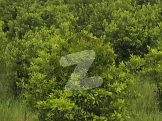 Land for sale in Sargodha, Islamabad Capital Territory