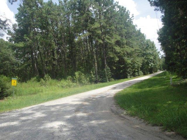 Land for sale in Jasper, Texas