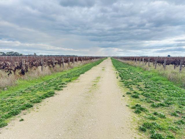 Cottage for sale in Coonawarra, South Australia