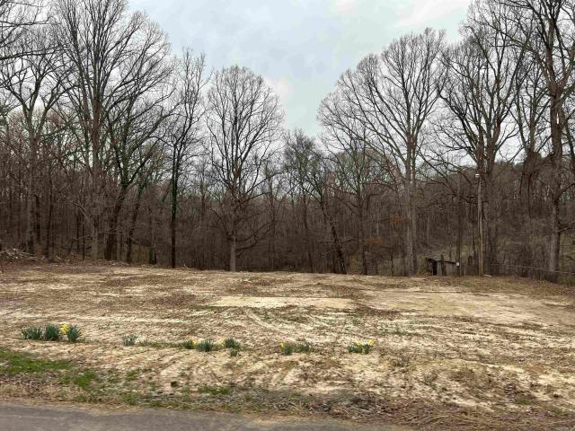 Land for sale in Ark