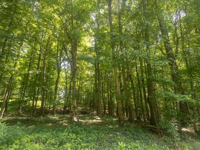 Land for sale in Tennessee