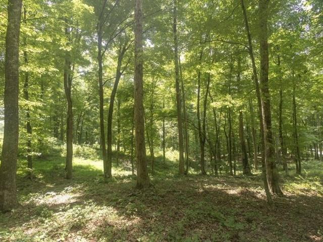 Land for sale in Calhoun, East Tennessee