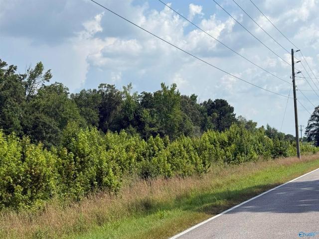 Land for sale in Centre, Alabama