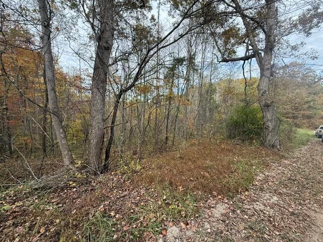 Land for sale in Beattyville, Kentucky