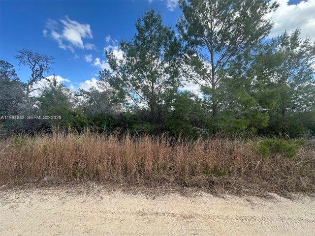 Land for sale in Lake Placid, Florida