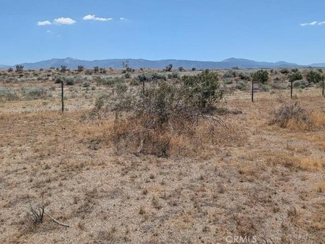 Land for sale in Pinon Hills, California
