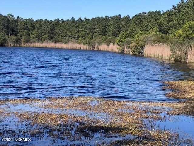 Land for sale in Belhaven, North Carolina