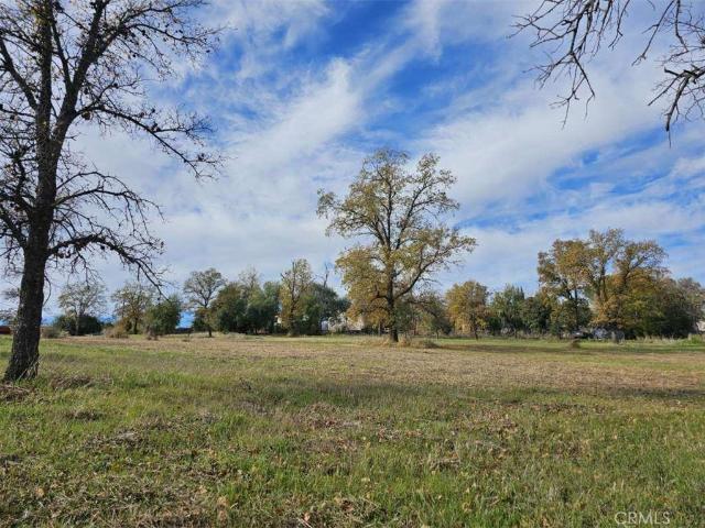 Land for sale in Butte, California