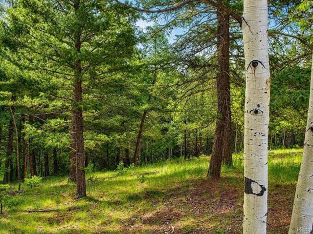 Land for sale in Teller, Colorado