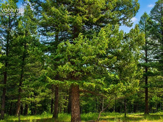 Land for sale in Teller, Colorado