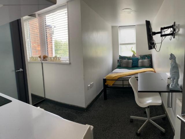 Studio for rent