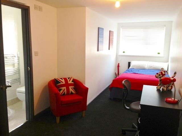 Studio for rent