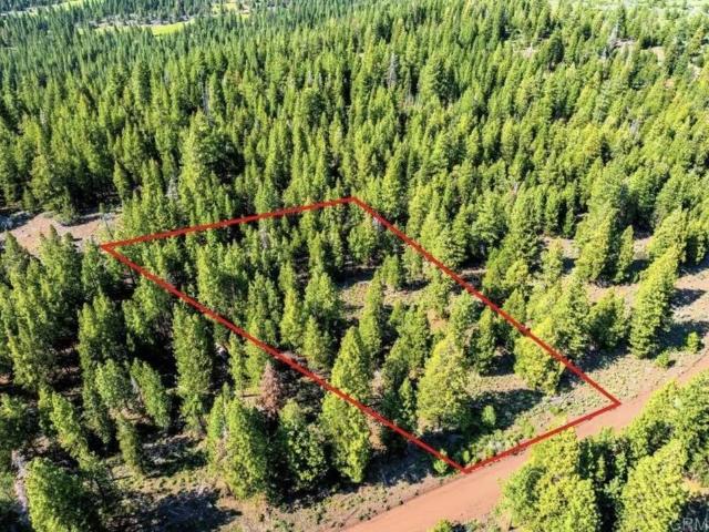 Land for sale in Modoc, California