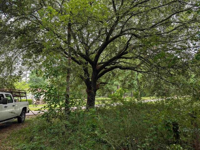 House for sale in Kirbyville, Jasper County