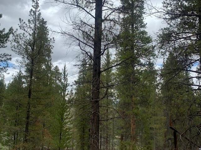 Land for sale in Twin Lakes, Colorado