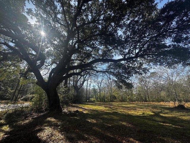 Land for sale in Picayune, Pearl River County