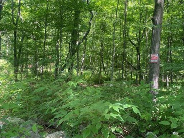 Land for sale in Holmes, New York