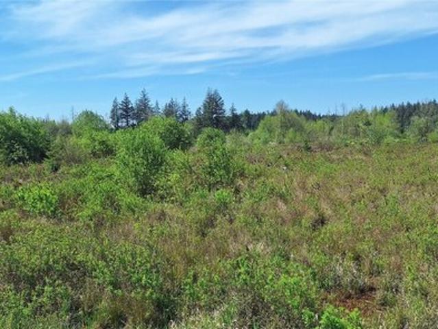 Land for sale in Winlock, Washington