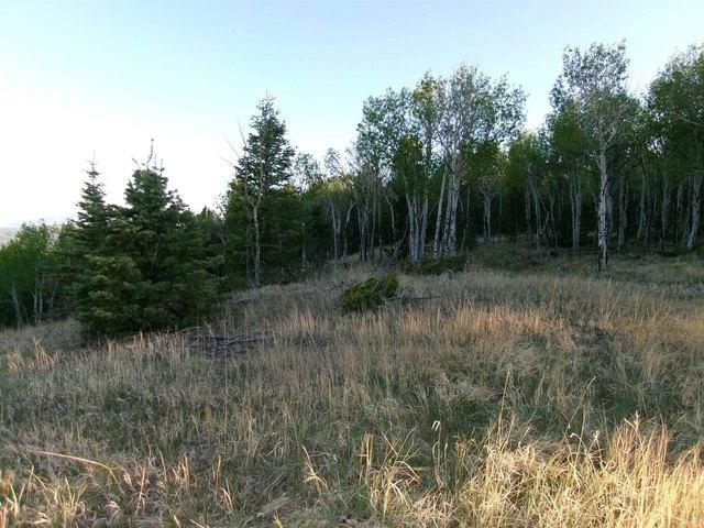 Land for sale in Angel Fire, New Mexico