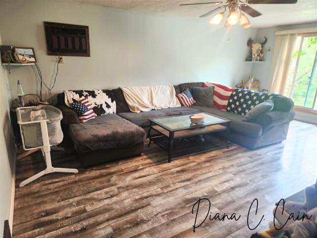 House for sale in Hart, Michigan