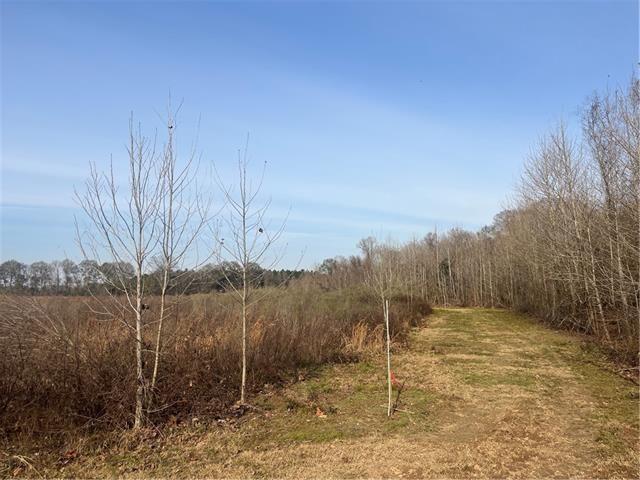 Land for sale in Mansura, Avoyelles Parish