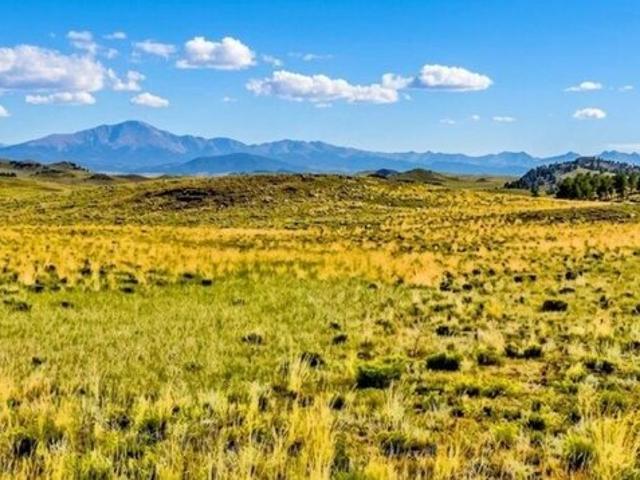 Land for sale in Hartsel, Park County
