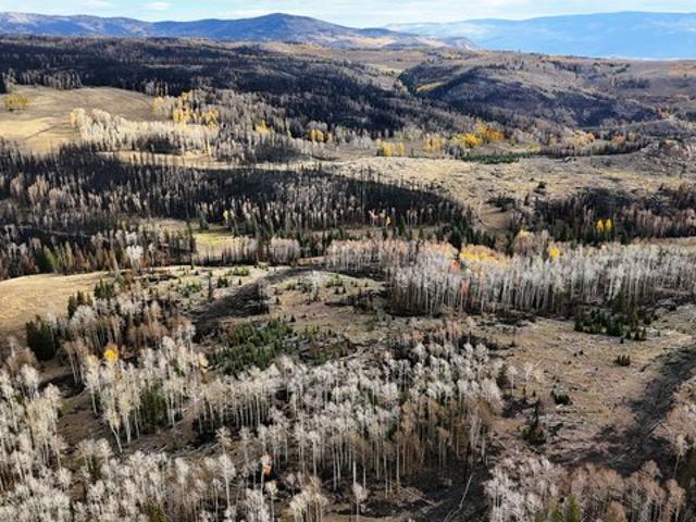 Land for sale in Monroe, Utah
