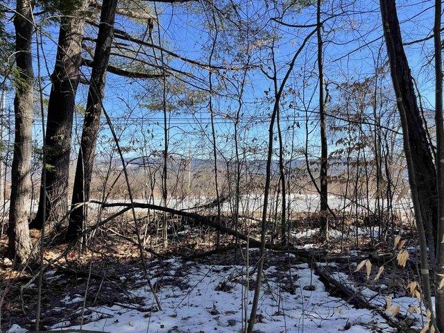 Land for sale in Westminster, Vermont