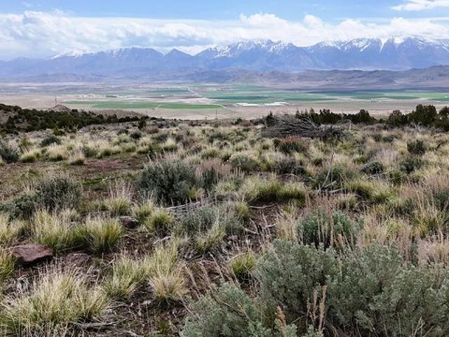 Land for sale in Goshen, Utah